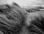 Filename=Irlande12-2003.jpg
Filesize=317KB
Dimensions=700x549
Date added=Dec 17, 2006 Irlande12-2003.jpg
