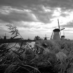 Kinderdijk-1.jpg