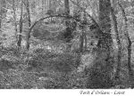 L1005737-1_copie.jpg